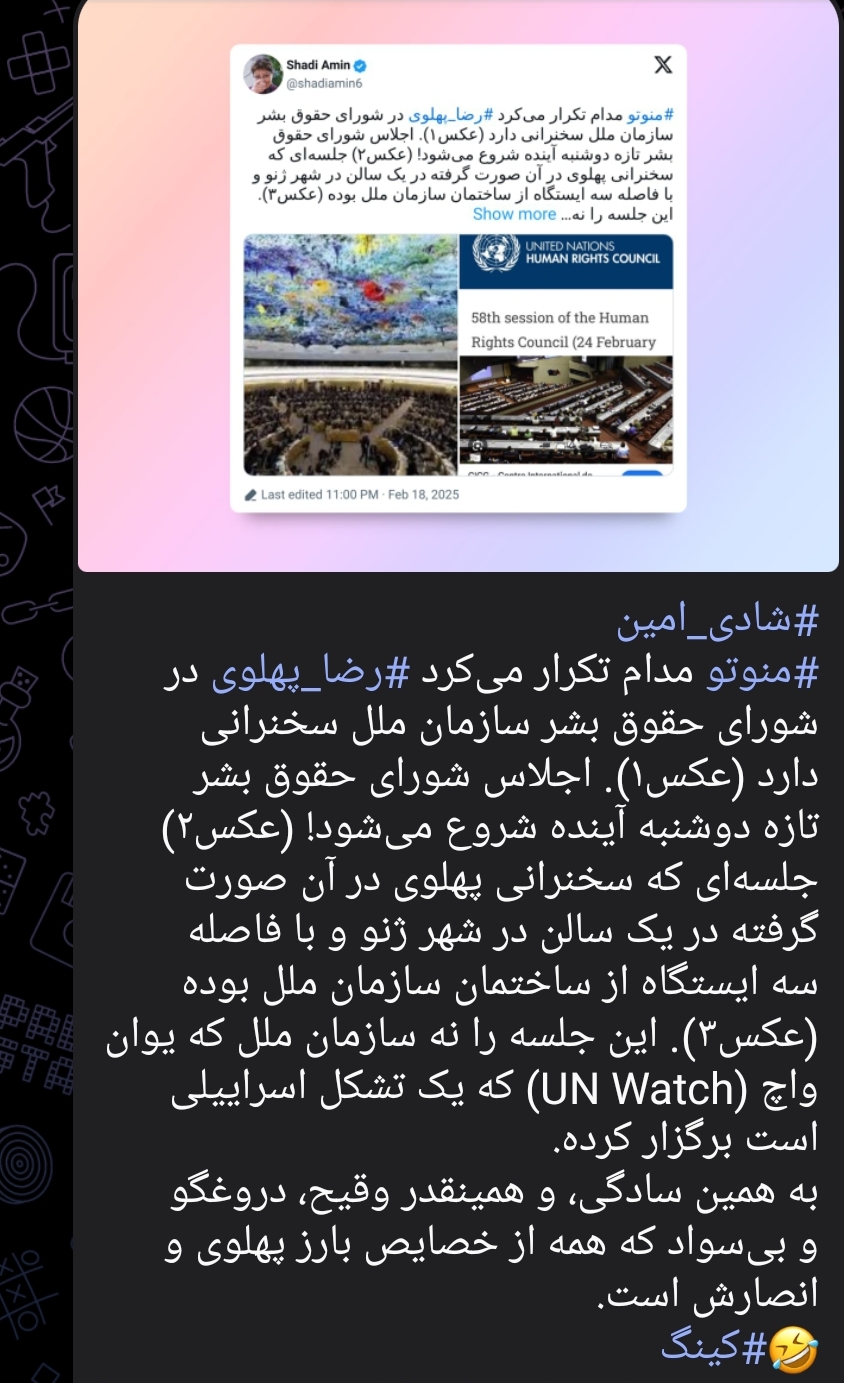 شادی امین